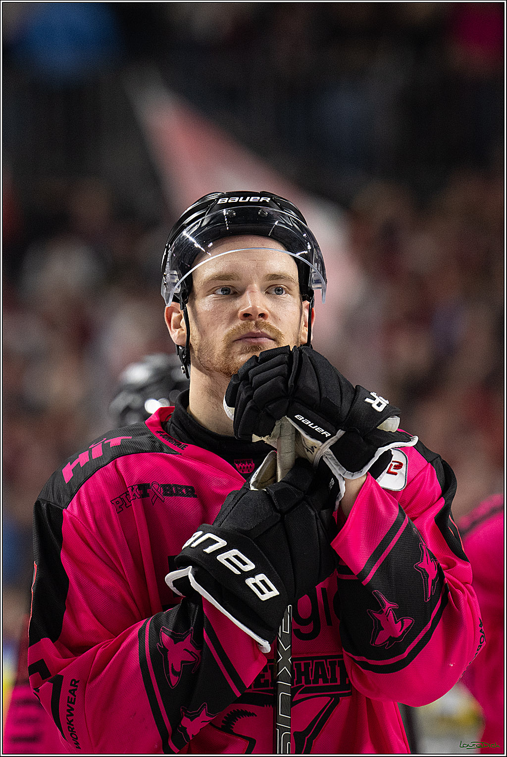 PENNY DEL 1; Koelner Haie - Iserlohn Roosters; Koeln, 12.10.2025