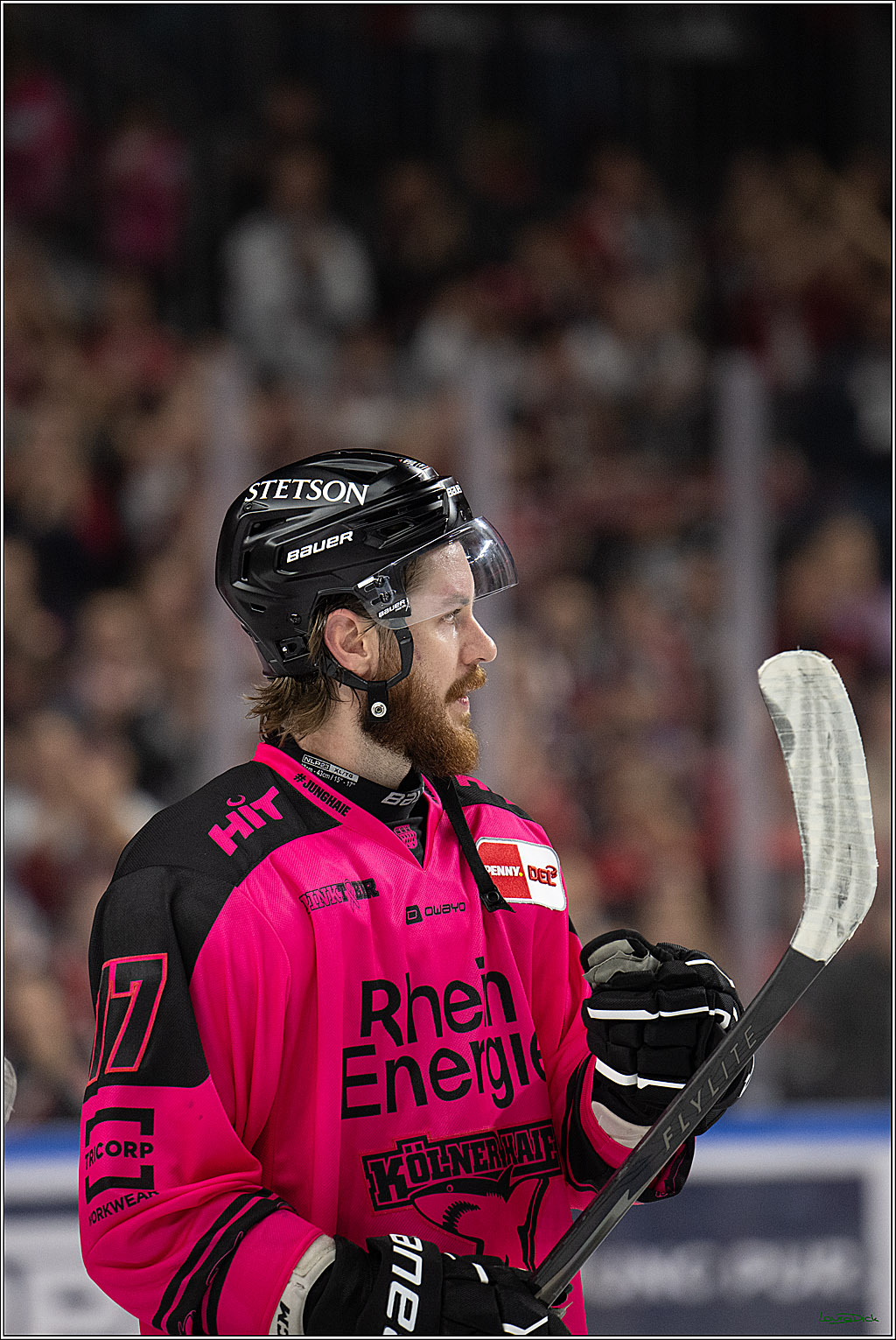 PENNY DEL 1; Koelner Haie - Iserlohn Roosters; Koeln, 12.10.2025