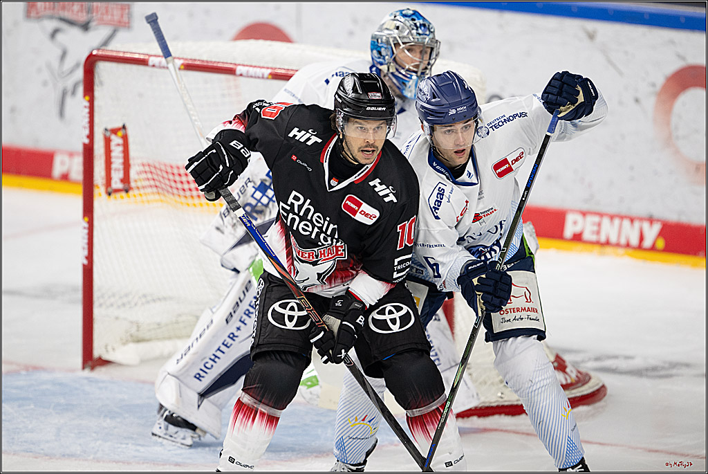 PENNY DEL 1; Kölner Haie - Straubing Tigers; Köln, 19.10.2025