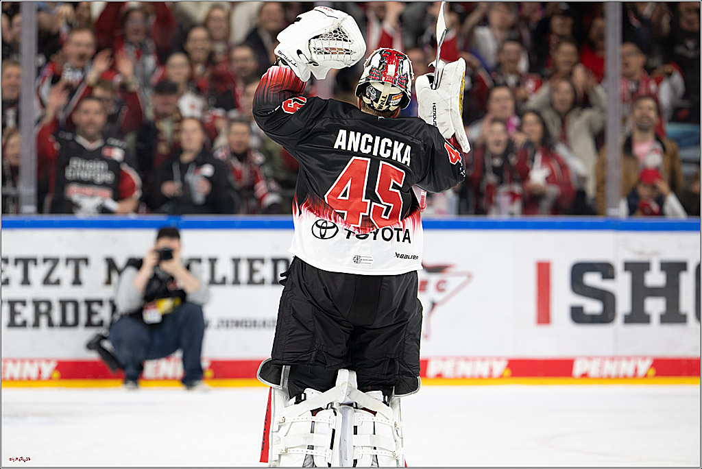 PENNY DEL 1; Kölner Haie - Straubing Tigers; Köln, 19.10.2025