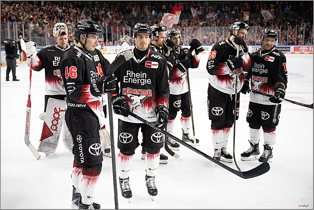 PENNY DEL 1; Kölner Haie - Straubing Tigers; Köln, 19.10.2025