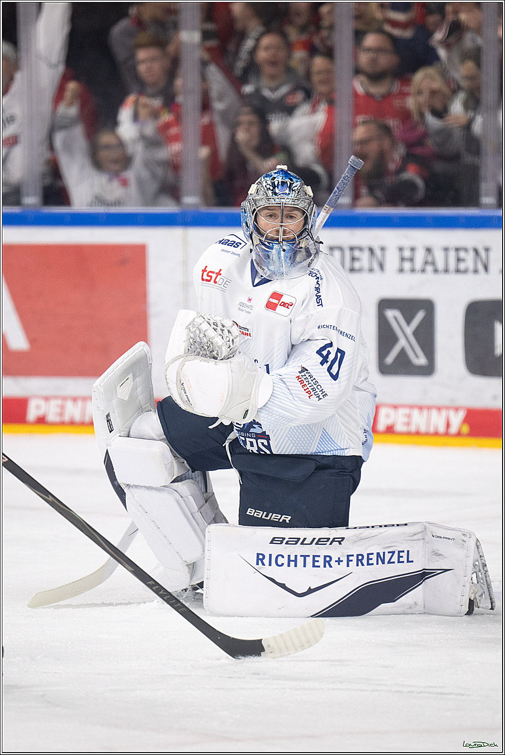 PENNY DEL 1; Koelner Haie - Straubing Tigers; Koeln, 19.10.2025
