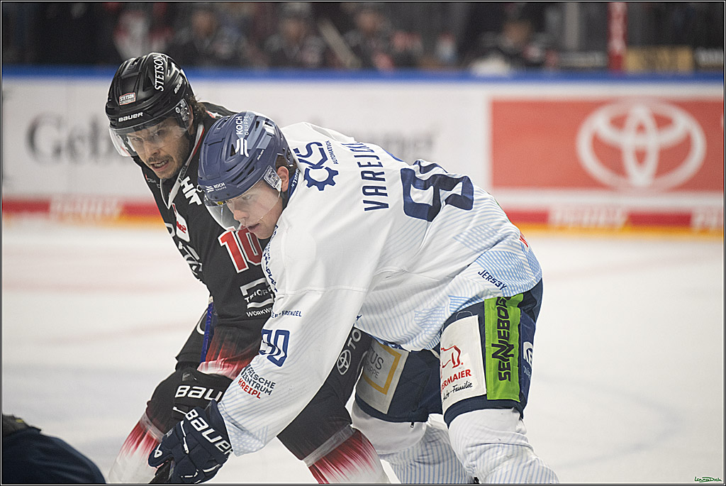 PENNY DEL 1; Koelner Haie - Straubing Tigers; Koeln, 19.10.2025