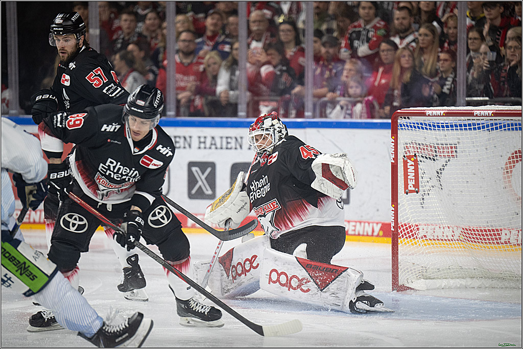 PENNY DEL 1; Koelner Haie - Straubing Tigers; Koeln, 19.10.2025