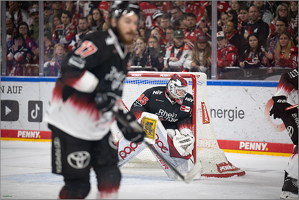 PENNY DEL 1; Koelner Haie - Straubing Tigers; Koeln, 19.10.2025