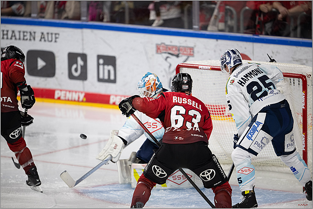 PENNY DEL 1; Kölner Haie - Dresdner Eislöwen; Köln, 16.11.2025