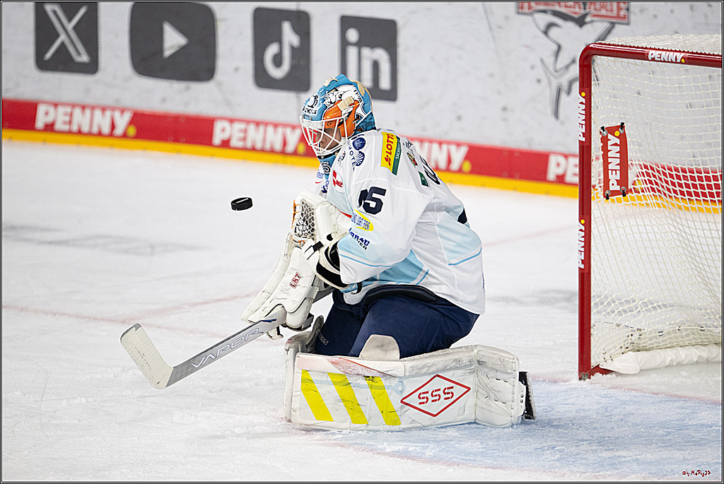 PENNY DEL 1; Kölner Haie - Dresdner Eislöwen; Köln, 16.11.2025