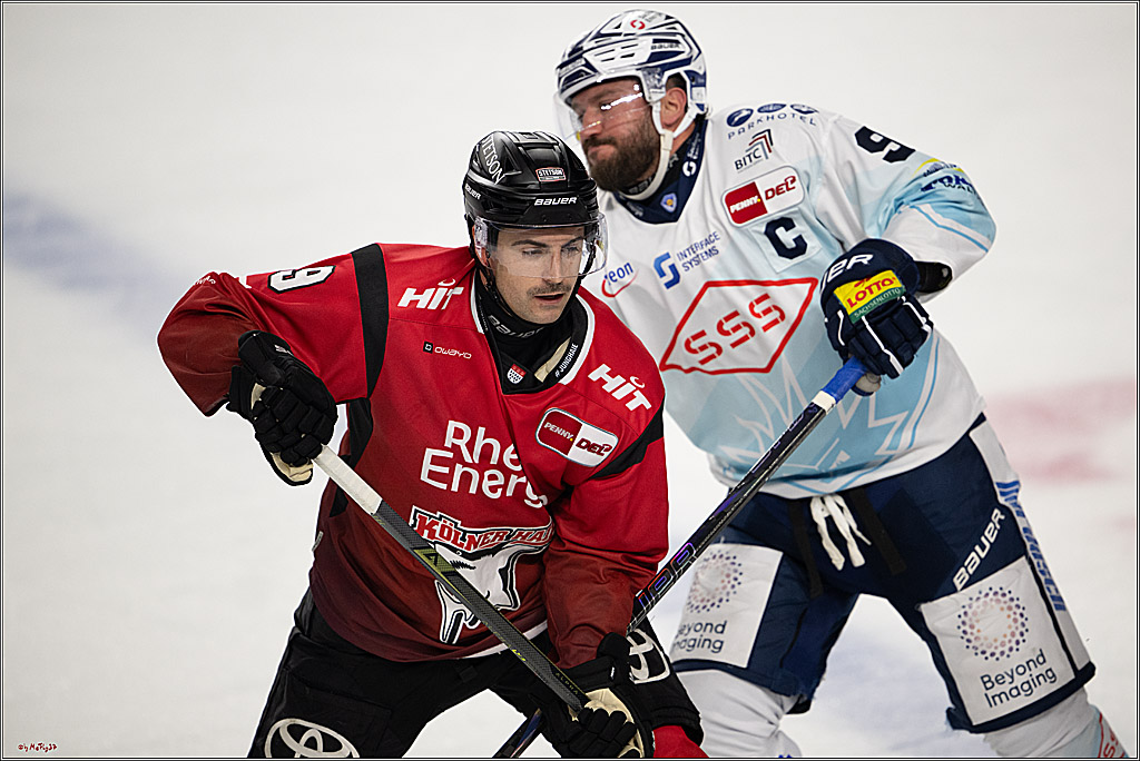 PENNY DEL 1; Kölner Haie - Dresdner Eislöwen; Köln, 16.11.2025