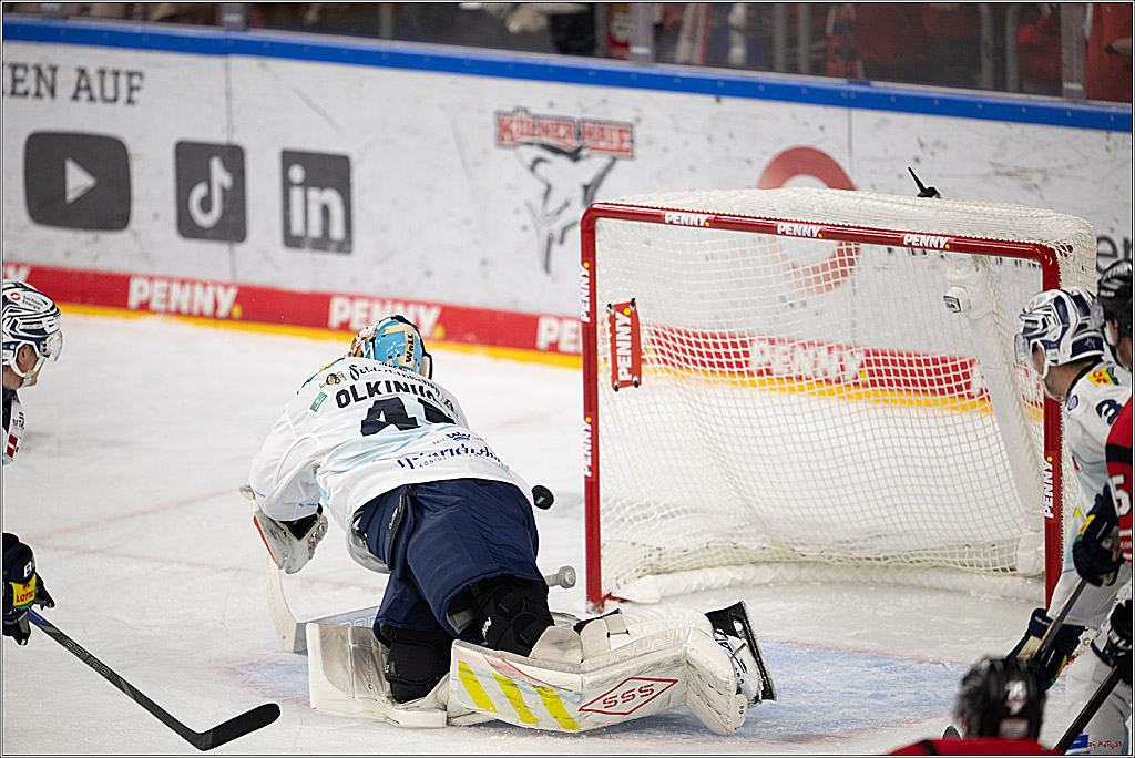 PENNY DEL 1; Kölner Haie - Dresdner Eislöwen; Köln, 16.11.2025