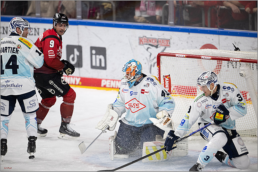 PENNY DEL 1; Kölner Haie - Dresdner Eislöwen; Köln, 16.11.2025