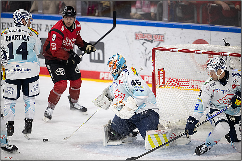 PENNY DEL 1; Kölner Haie - Dresdner Eislöwen; Köln, 16.11.2025