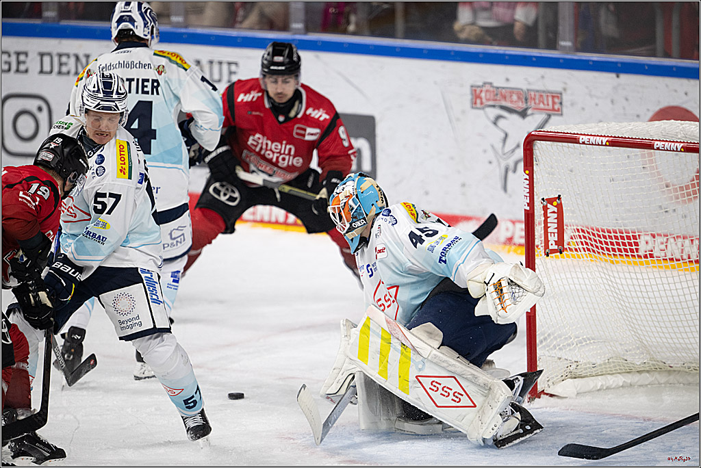 PENNY DEL 1; Kölner Haie - Dresdner Eislöwen; Köln, 16.11.2025