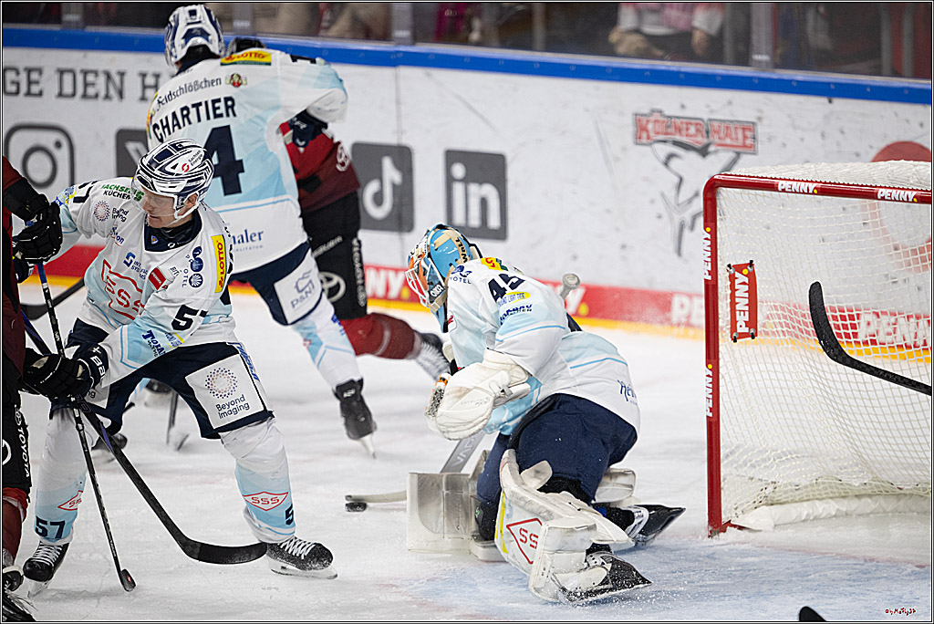 PENNY DEL 1; Kölner Haie - Dresdner Eislöwen; Köln, 16.11.2025