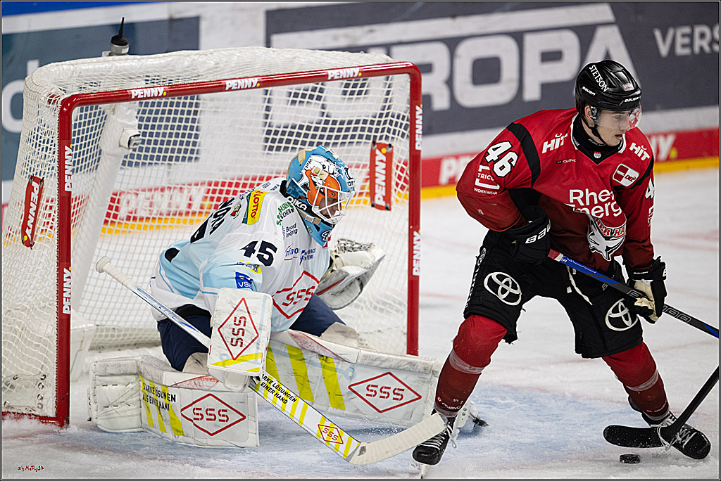 PENNY DEL 1; Kölner Haie - Dresdner Eislöwen; Köln, 16.11.2025