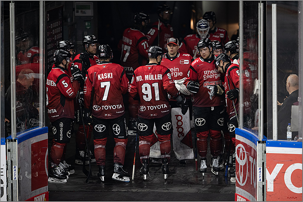 PENNY DEL 1; Kölner Haie - Dresdner Eislöwen; Köln, 16.11.2025