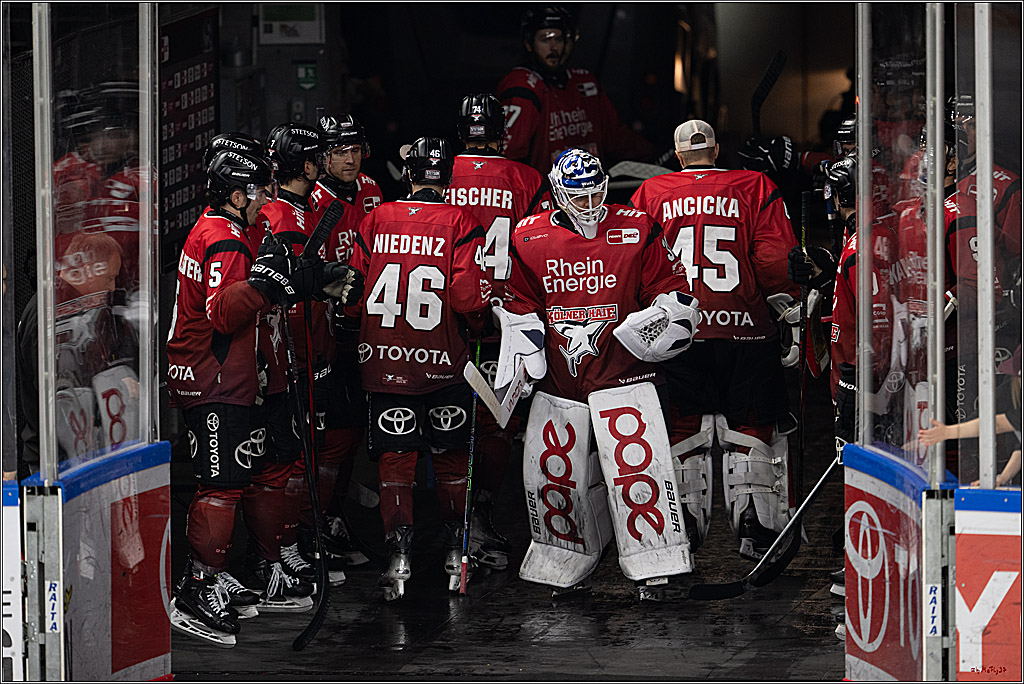 PENNY DEL 1; Kölner Haie - Dresdner Eislöwen; Köln, 16.11.2025