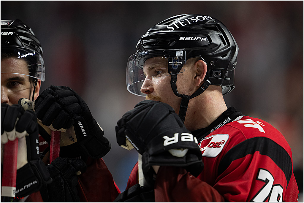 PENNY DEL 1; Kölner Haie - Dresdner Eislöwen; Köln, 16.11.2025