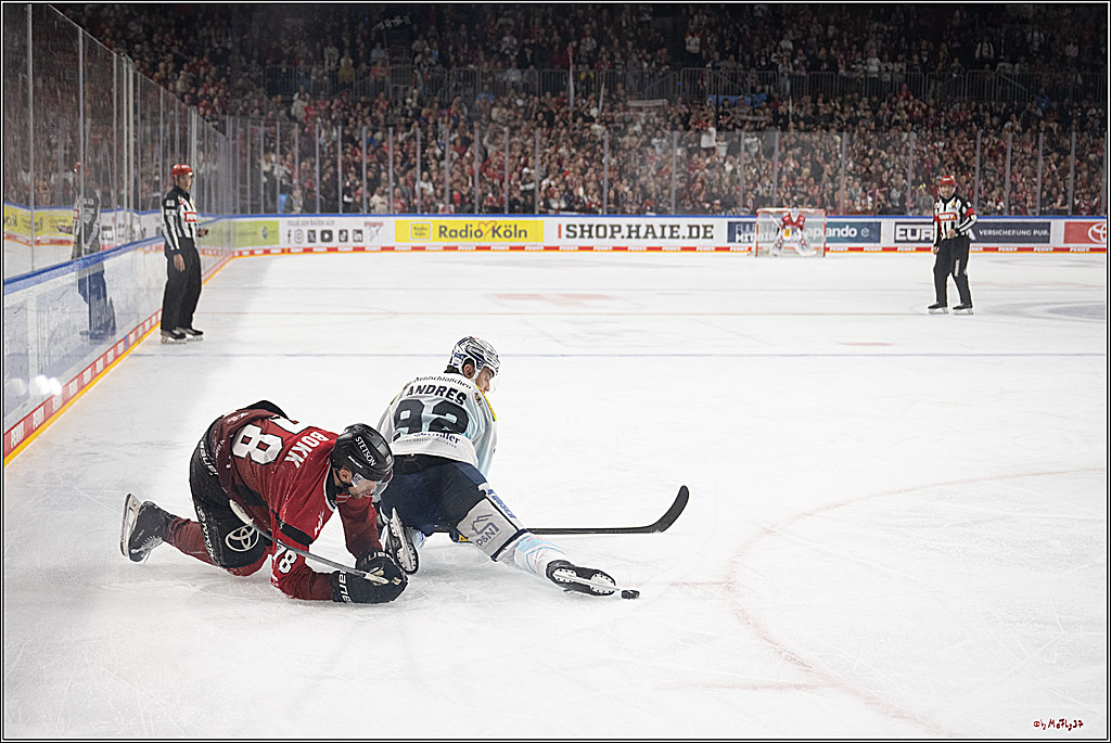 PENNY DEL 1; Kölner Haie - Dresdner Eislöwen; Köln, 16.11.2025
