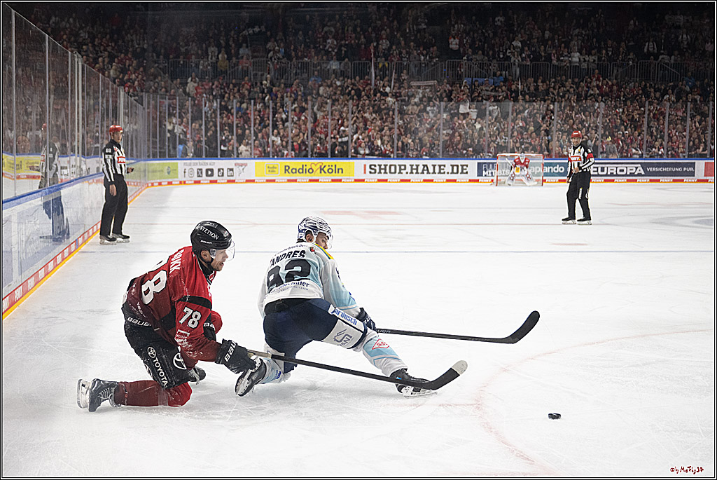 PENNY DEL 1; Kölner Haie - Dresdner Eislöwen; Köln, 16.11.2025