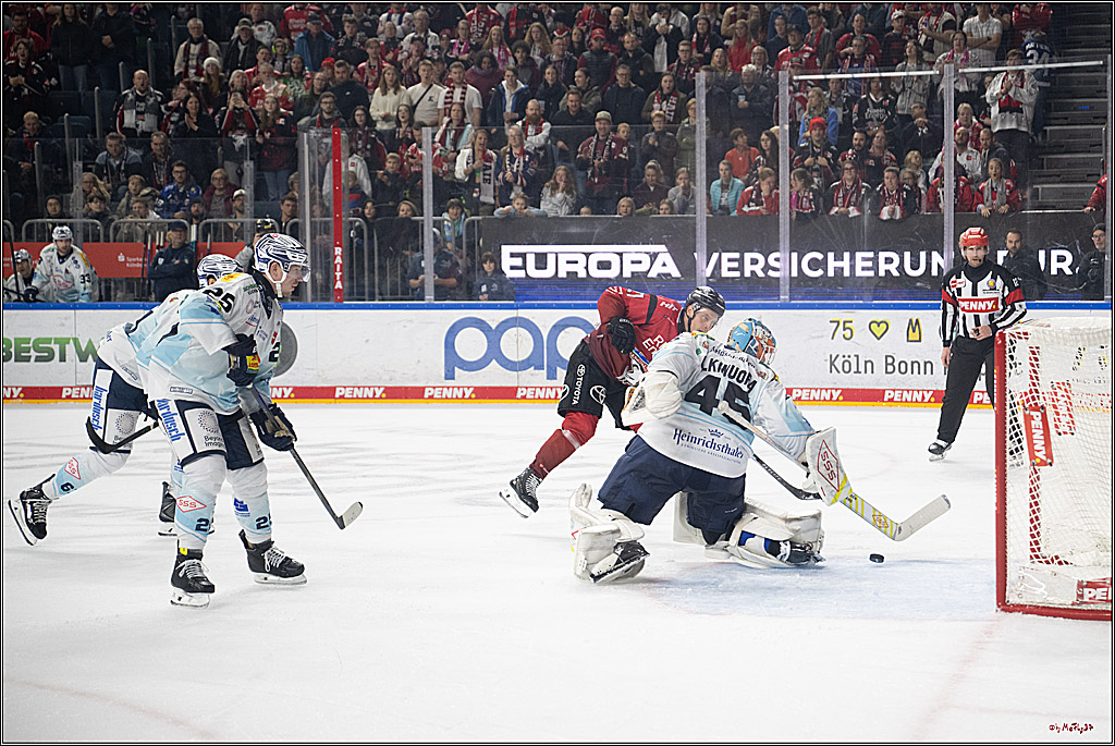 PENNY DEL 1; Kölner Haie - Dresdner Eislöwen; Köln, 16.11.2025