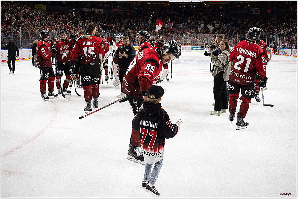 PENNY DEL 1; Kölner Haie - Dresdner Eislöwen; Köln, 16.11.2025