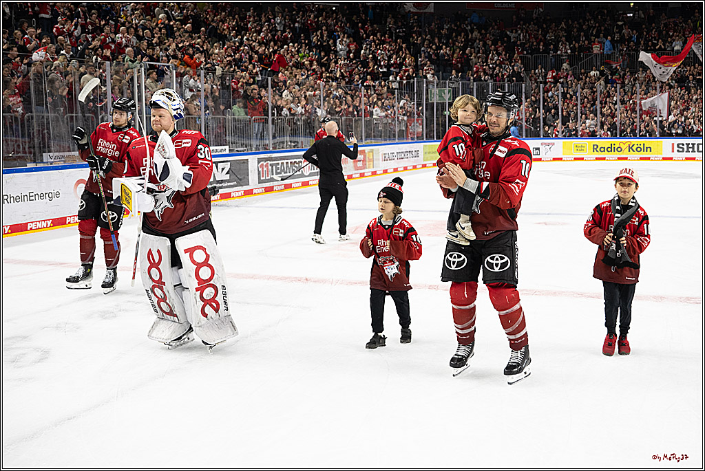 PENNY DEL 1; Kölner Haie - Dresdner Eislöwen; Köln, 16.11.2025