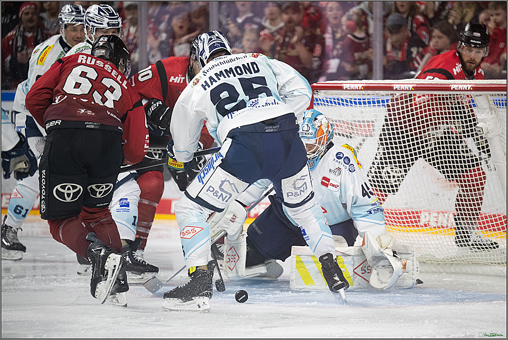 PENNY DEL 1; Kölner Haie - Dresdner Eislöwen; Koeln, 16.11.2025