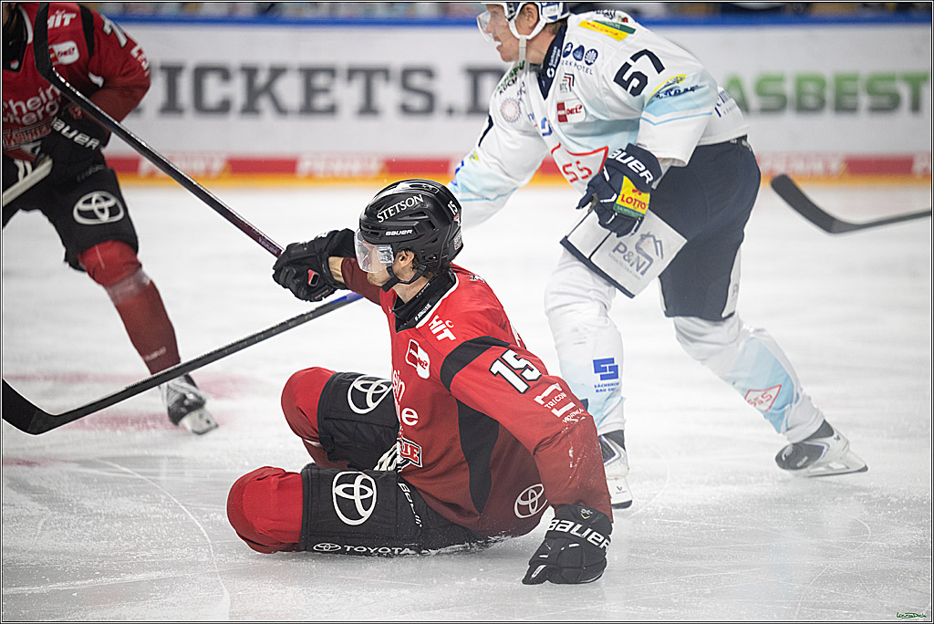 PENNY DEL 1; Kölner Haie - Dresdner Eislöwen; Koeln, 16.11.2025