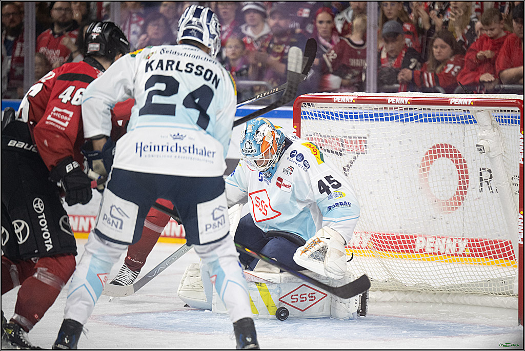 PENNY DEL 1; Kölner Haie - Dresdner Eislöwen; Koeln, 16.11.2025
