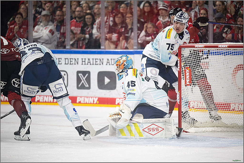 PENNY DEL 1; Kölner Haie - Dresdner Eislöwen; Koeln, 16.11.2025