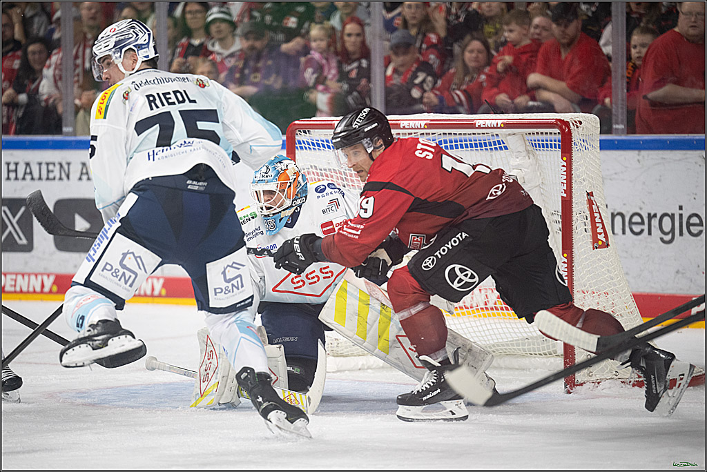 PENNY DEL 1; Kölner Haie - Dresdner Eislöwen; Koeln, 16.11.2025