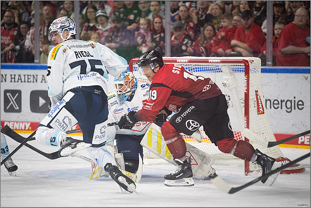 PENNY DEL 1; Kölner Haie - Dresdner Eislöwen; Koeln, 16.11.2025