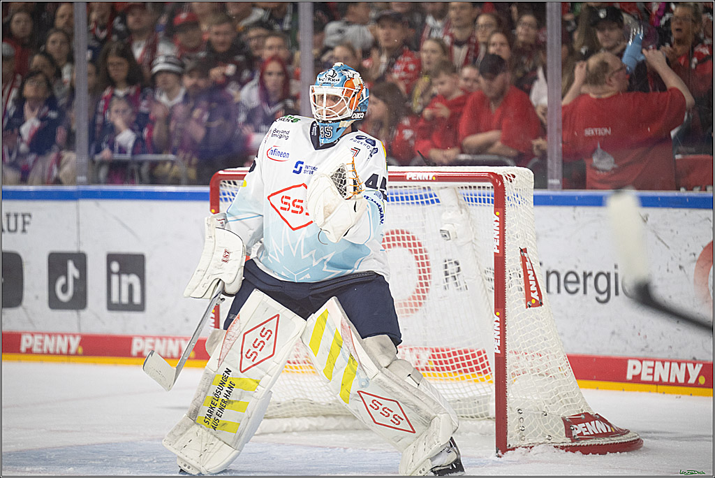 PENNY DEL 1; Kölner Haie - Dresdner Eislöwen; Koeln, 16.11.2025