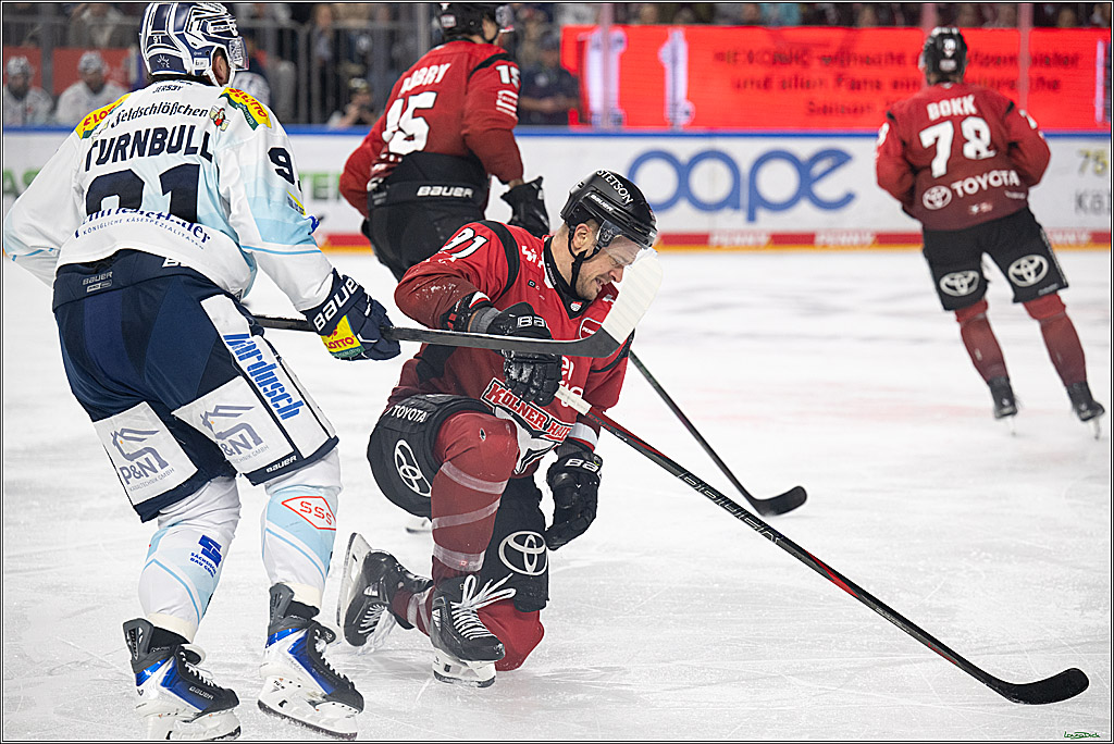 PENNY DEL 1; Kölner Haie - Dresdner Eislöwen; Koeln, 16.11.2025