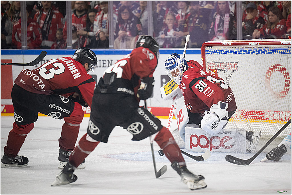 PENNY DEL 1; Kölner Haie - Dresdner Eislöwen; Koeln, 16.11.2025
