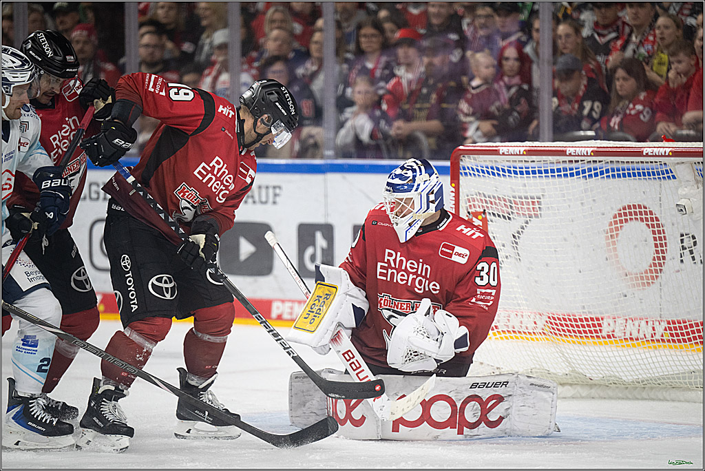 PENNY DEL 1; Kölner Haie - Dresdner Eislöwen; Koeln, 16.11.2025
