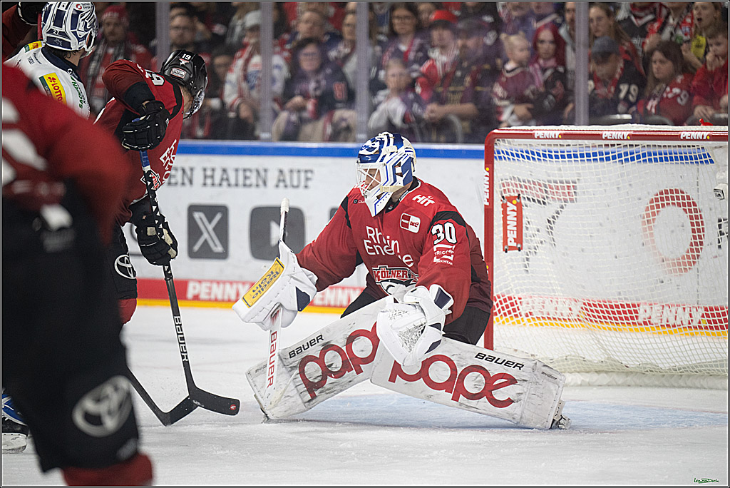 PENNY DEL 1; Kölner Haie - Dresdner Eislöwen; Koeln, 16.11.2025
