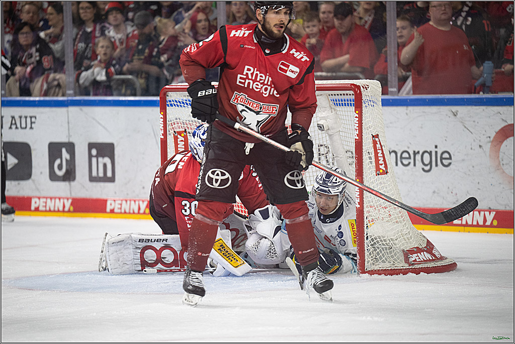 PENNY DEL 1; Kölner Haie - Dresdner Eislöwen; Koeln, 16.11.2025