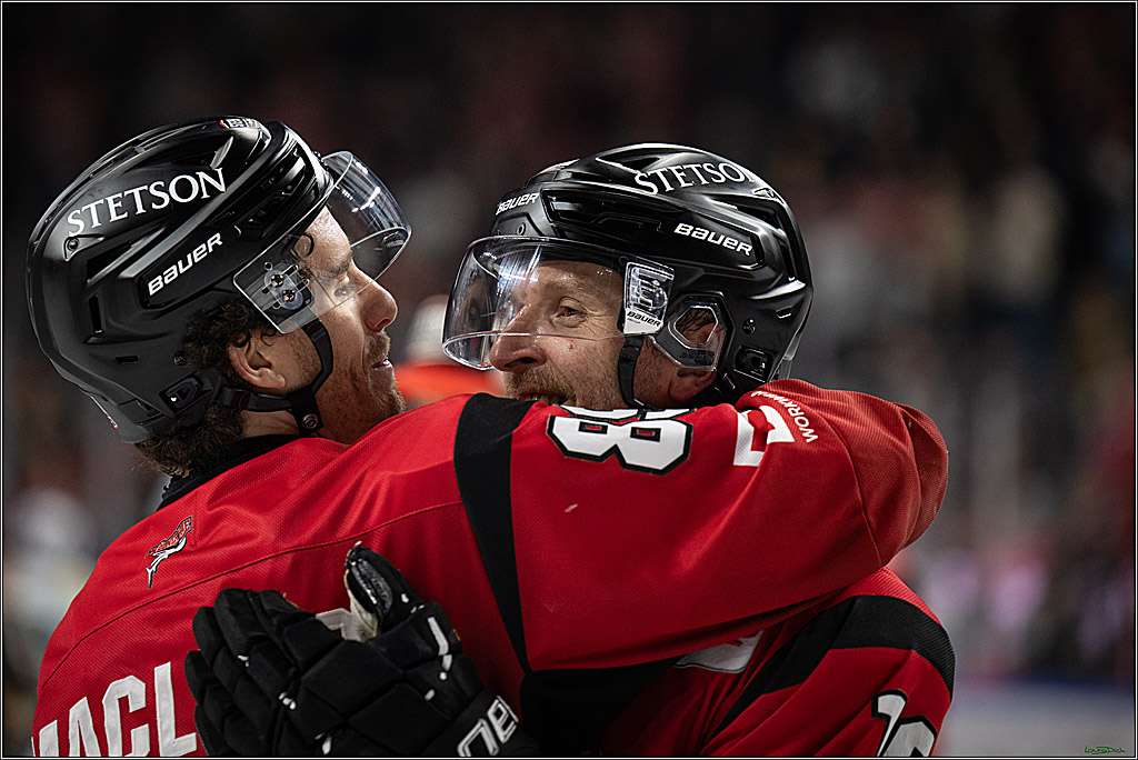PENNY DEL 1; Kölner Haie - Dresdner Eislöwen; Koeln, 16.11.2025