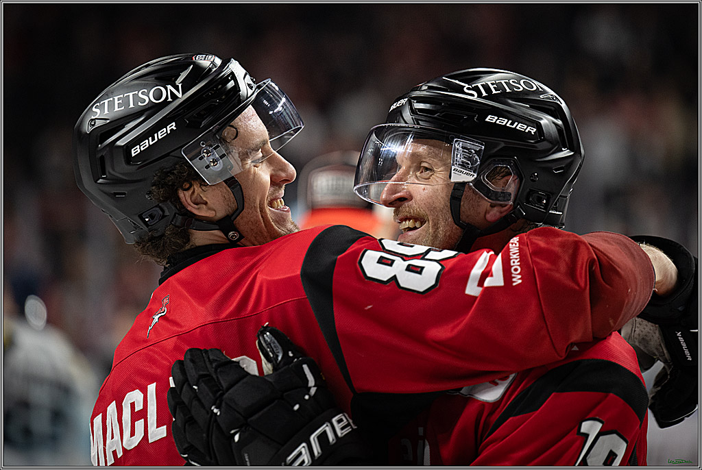 PENNY DEL 1; Kölner Haie - Dresdner Eislöwen; Koeln, 16.11.2025