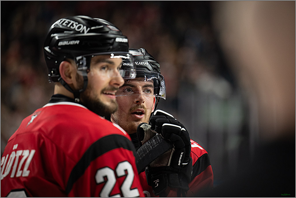 PENNY DEL 1; Kölner Haie - Dresdner Eislöwen; Koeln, 16.11.2025