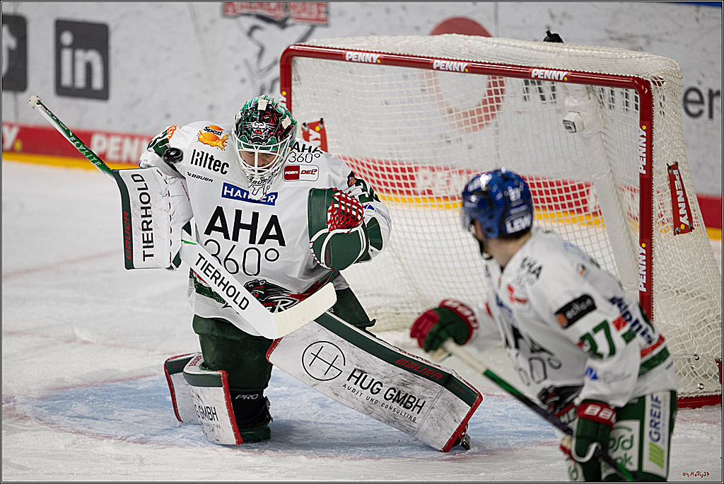 PENNY DEL 1; Kölner Haie - Augsburger Panther; Köln, 21.11.2025