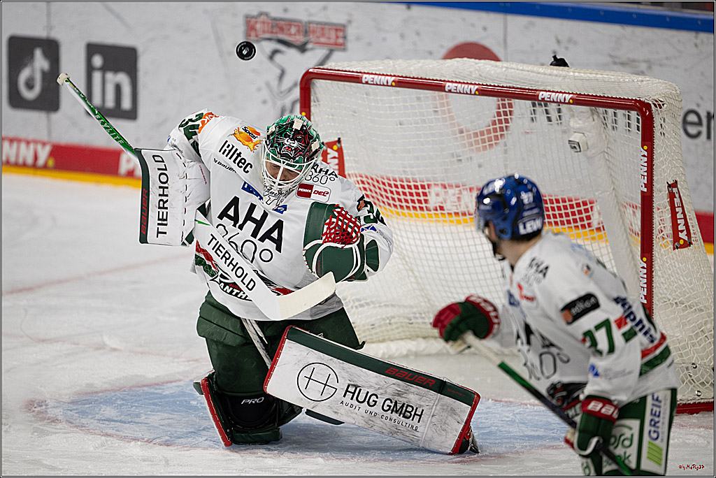 PENNY DEL 1; Kölner Haie - Augsburger Panther; Köln, 21.11.2025