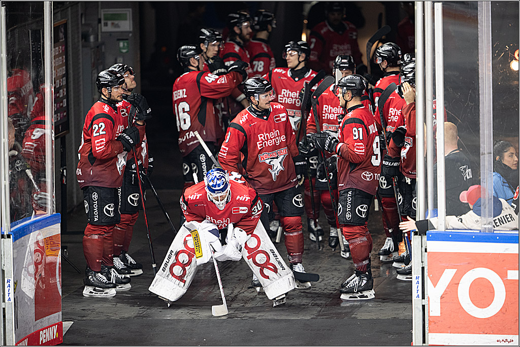 PENNY DEL 1; Kölner Haie - Augsburger Panther; Köln, 21.11.2025