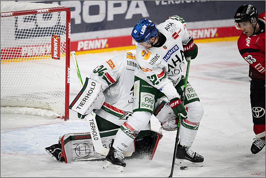 PENNY DEL 1; Kölner Haie - Augsburger Panther; Köln, 21.11.2025