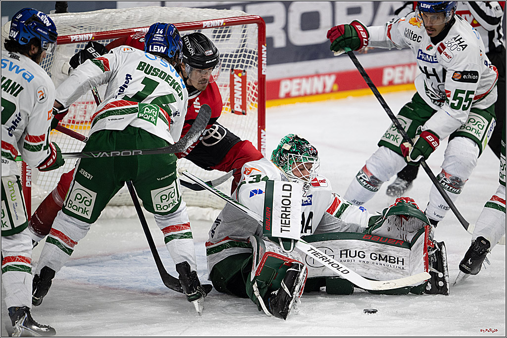 PENNY DEL 1; Kölner Haie - Augsburger Panther; Köln, 21.11.2025