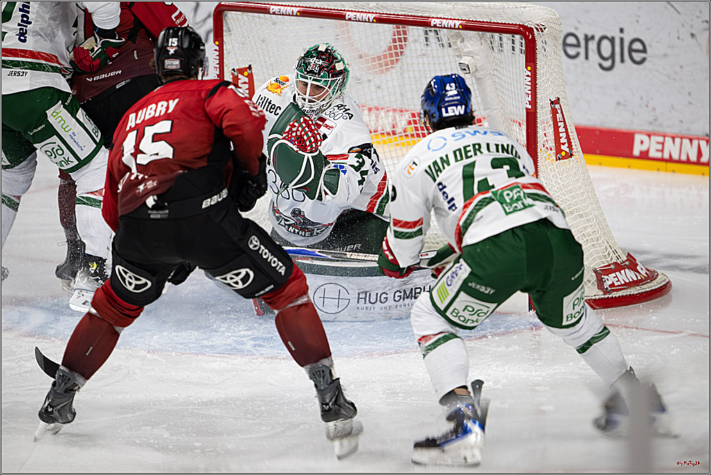 PENNY DEL 1; Kölner Haie - Augsburger Panther; Köln, 21.11.2025