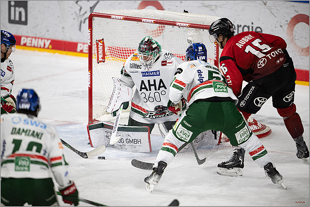 PENNY DEL 1; Kölner Haie - Augsburger Panther; Köln, 21.11.2025