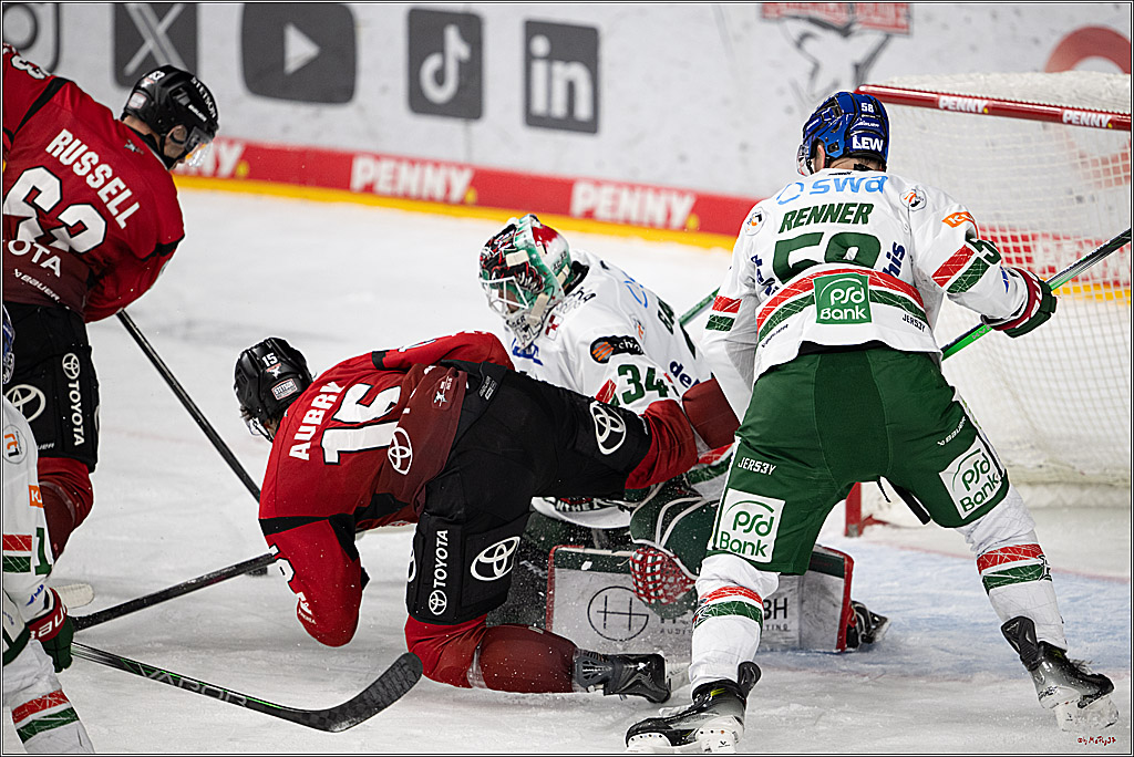 PENNY DEL 1; Kölner Haie - Augsburger Panther; Köln, 21.11.2025