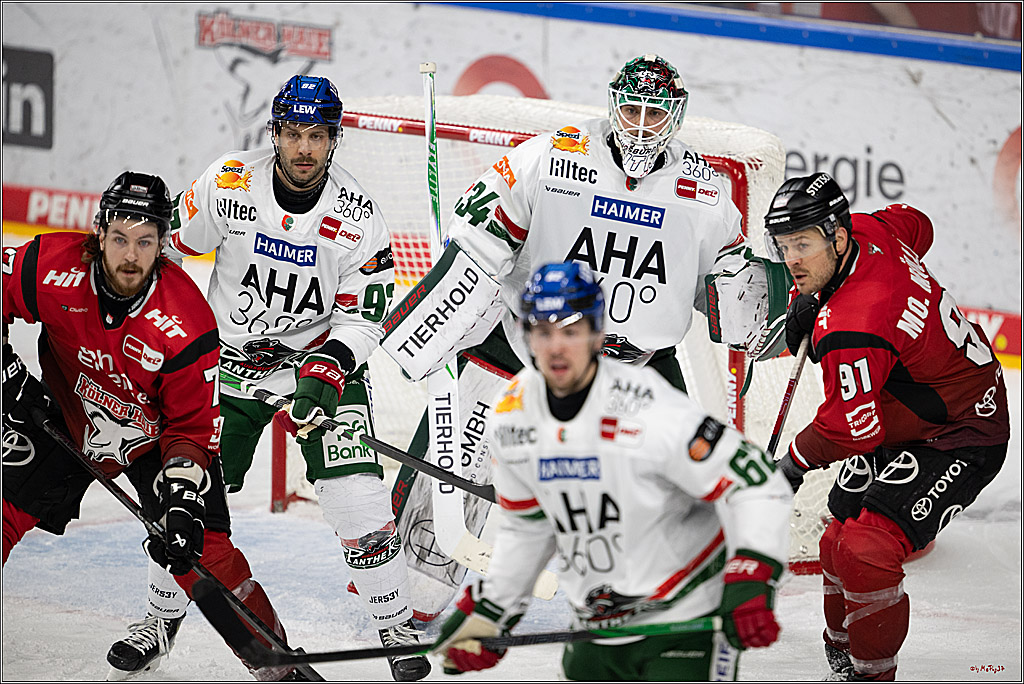 PENNY DEL 1; Kölner Haie - Augsburger Panther; Köln, 21.11.2025